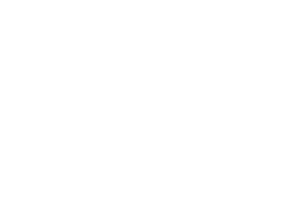 Georgetown Brewing Co