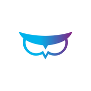 WISESIGHT INC