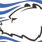 Bear Creek Engineering