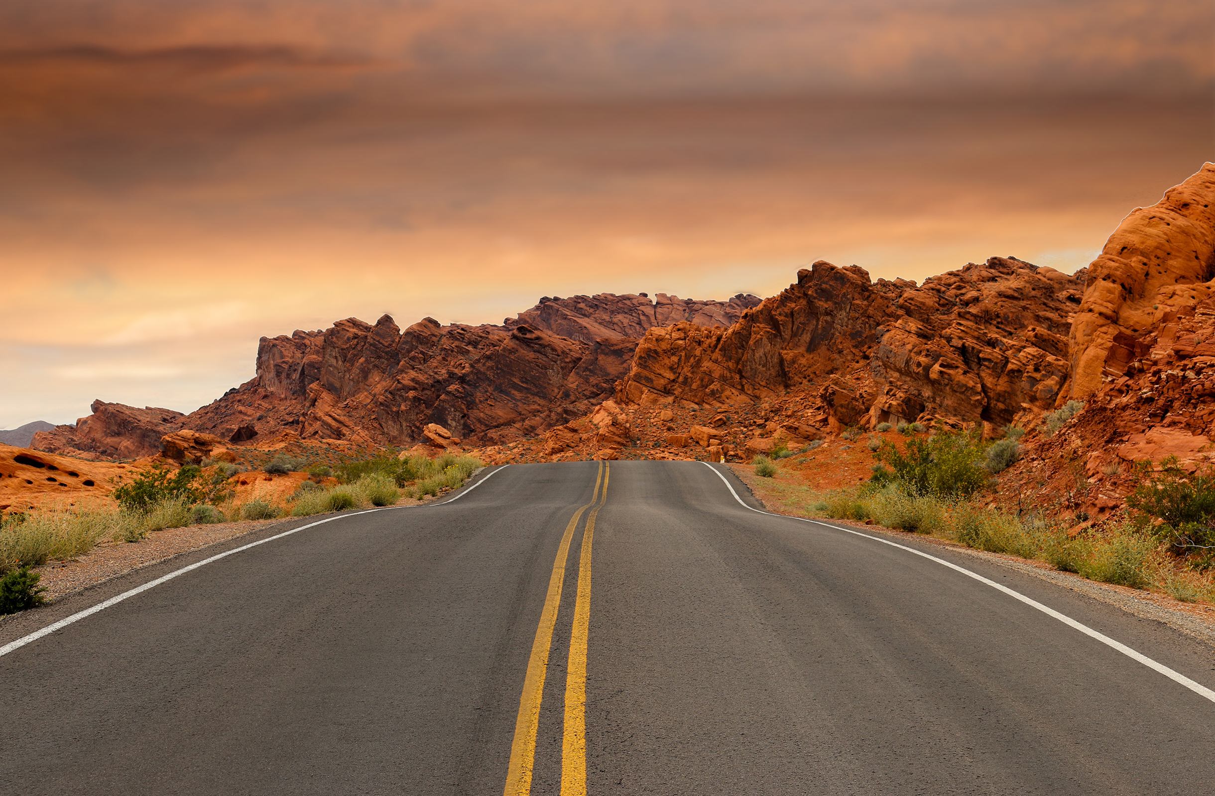 Avis Car Rental
