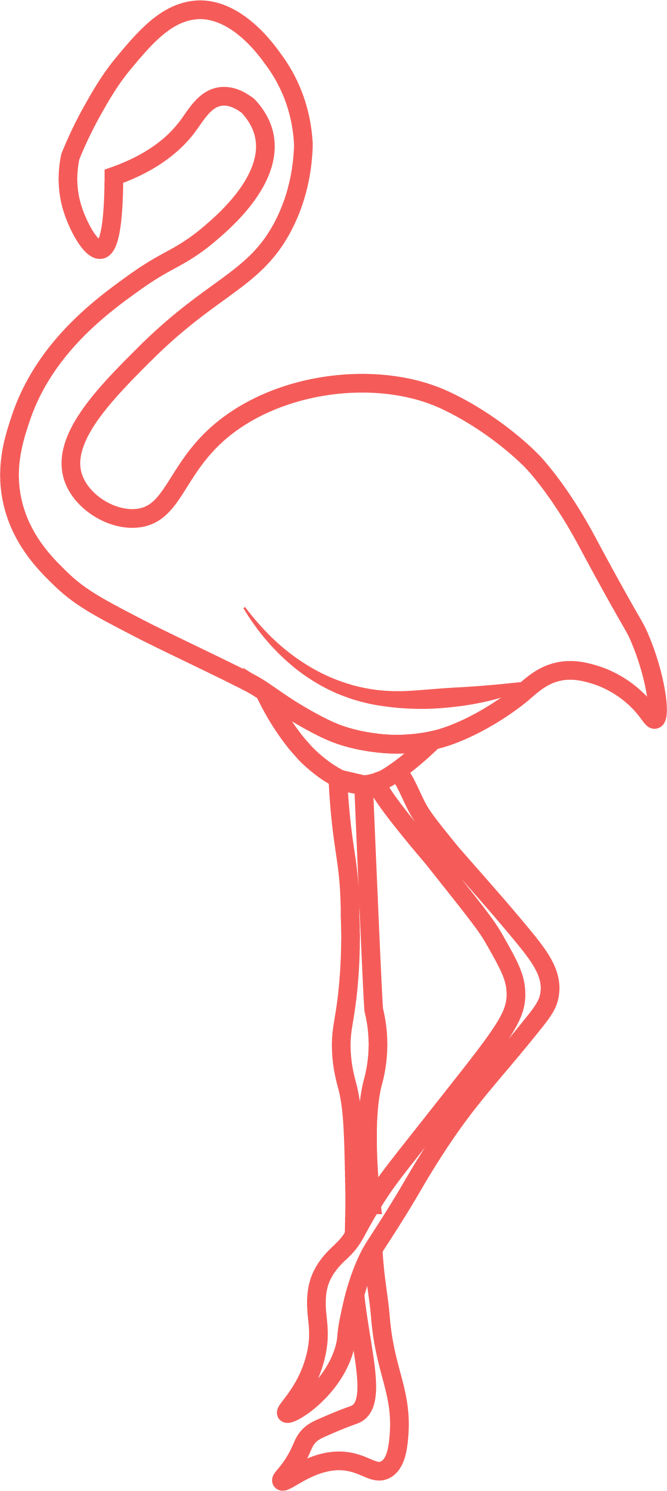 flamingo coffee