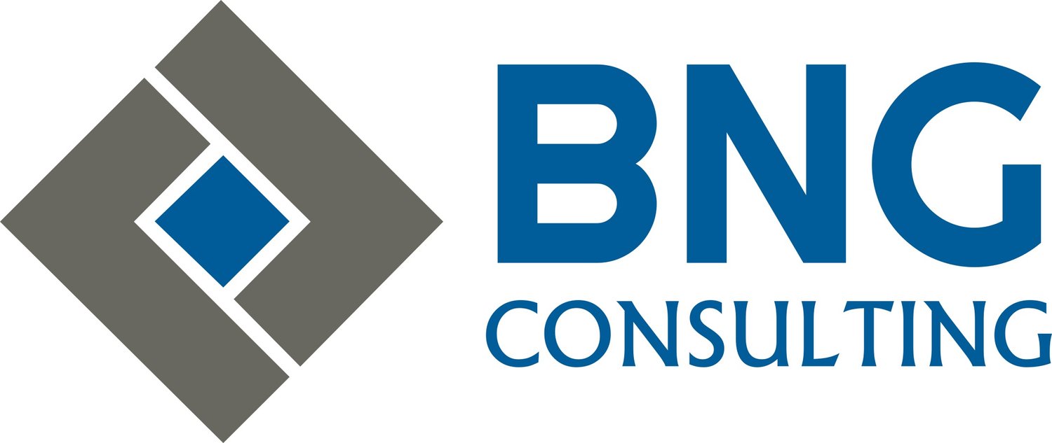 BNG Consulting Inc