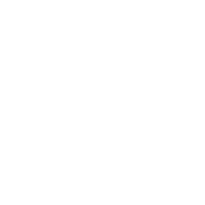 Video Centrix LLC